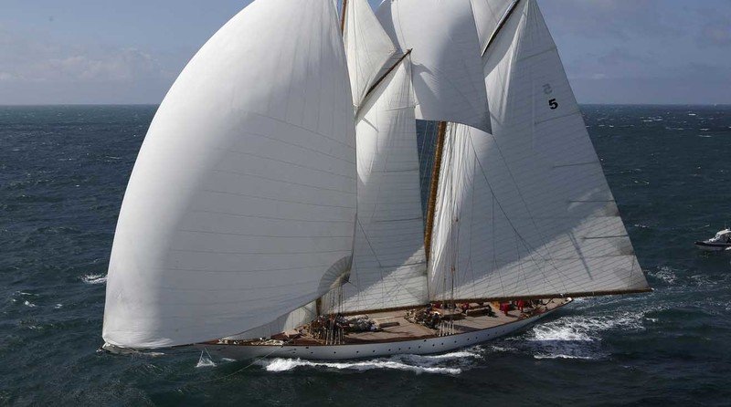 Eleonora 
