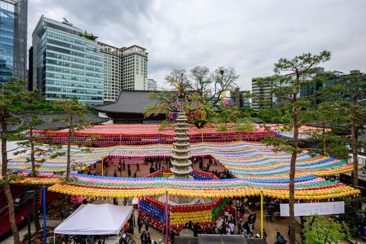 In Pictures: Worshippers Gather to Celebrate Buddha's Birthday