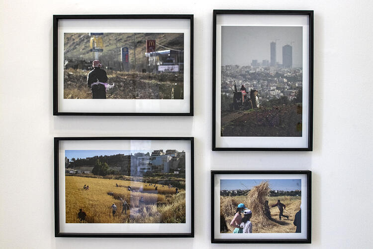 Art Transcending the Gallery at Re-Rooting Exhibition in Jordan