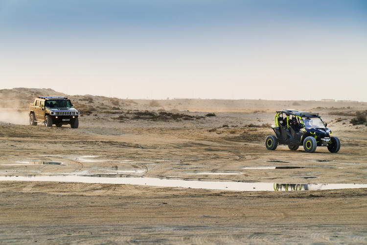 Five Things to Do in Qatar