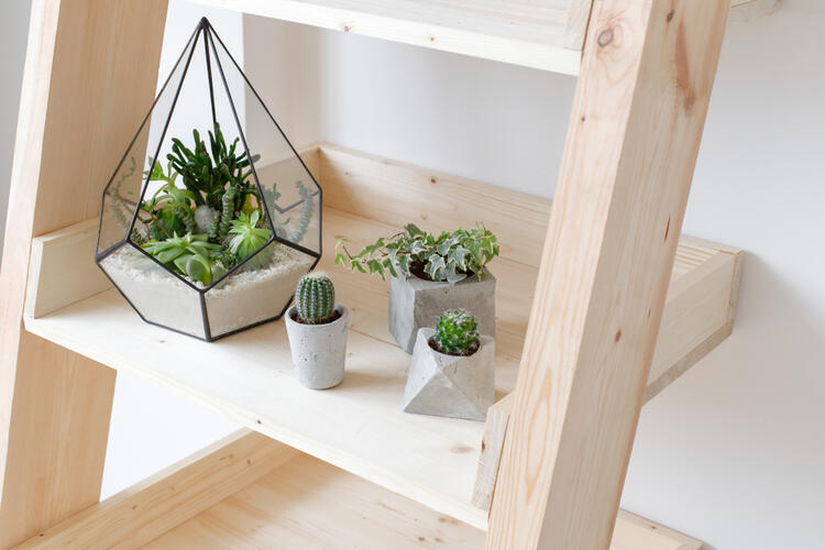 Top Interior Design Trends of 2021
