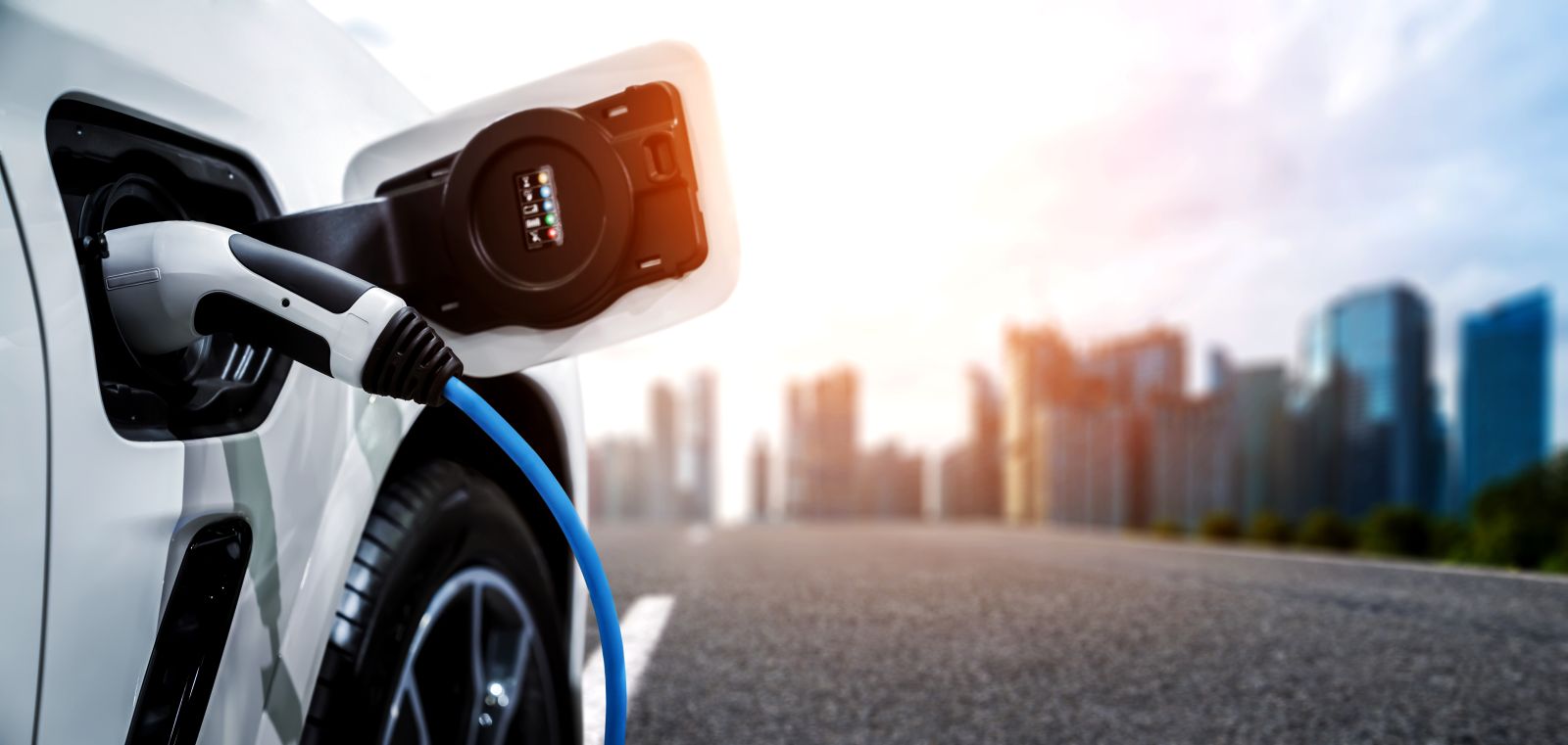 Best Electric Vehicles of 2024
