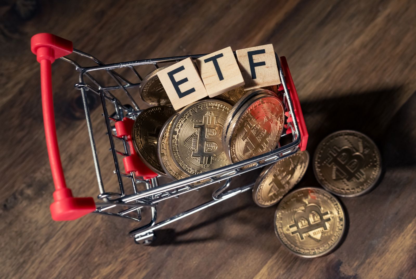 5 Best Dividend ETFs to Buy in 2024