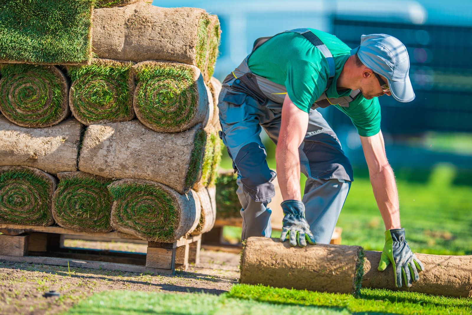 How to Start a Landscaping Business