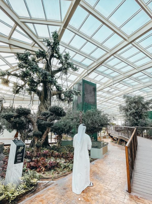 instagrammable places in Dubai