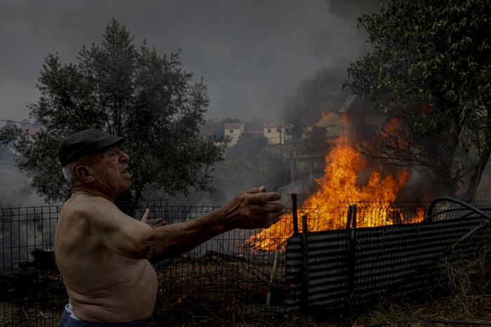 wildfires economy