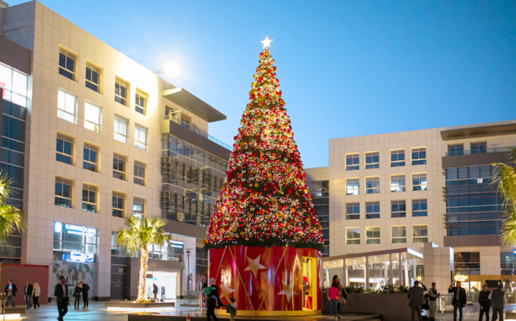 Christmas Trees in the Middle East