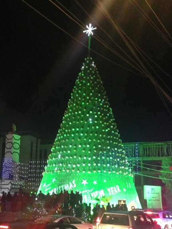 Christmas Trees in the Middle East