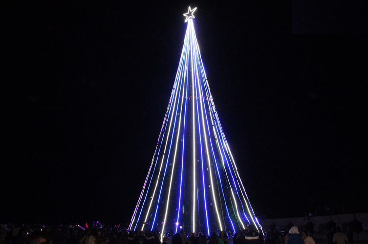 Christmas Trees in the Middle East