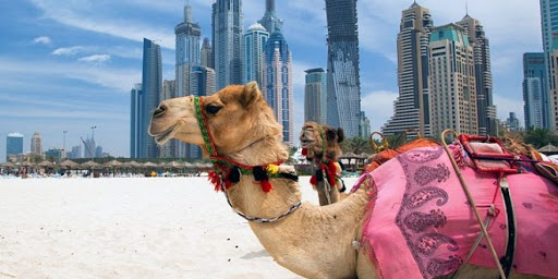 UAE tourism