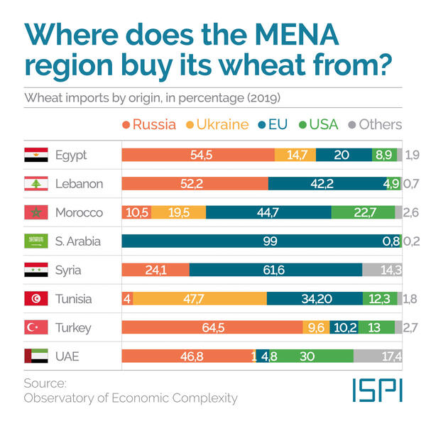 MENA Countries Food Crisis