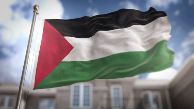 الأراضي الفلسطينية جوازات السفر العربية