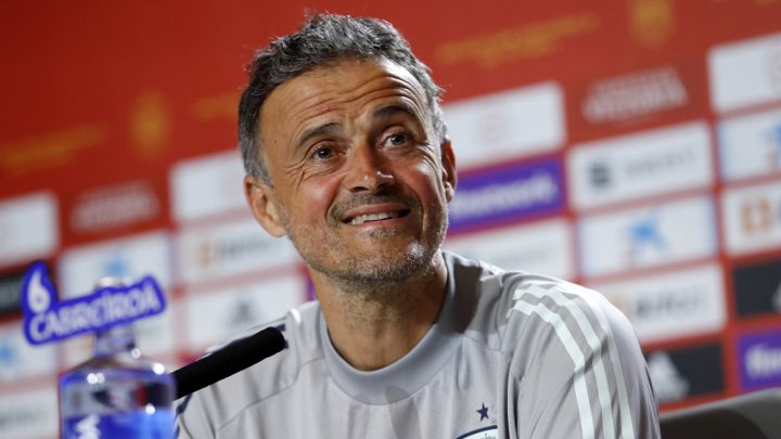 إنريكي مدرب منتخب إسبانيا