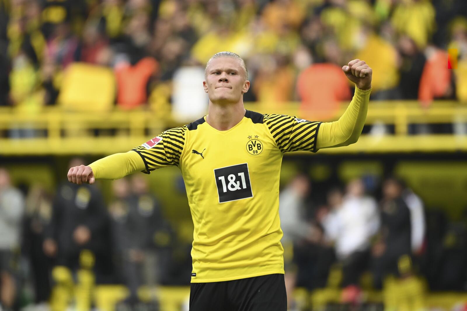 Haaland and Lewandowski wanted by PSG (Photo: AFP)