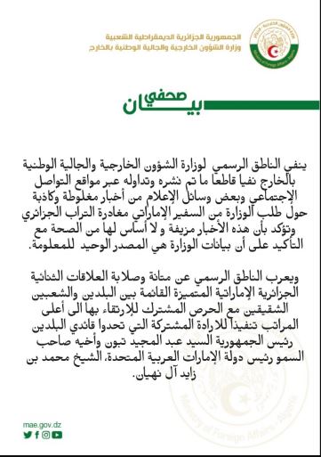 UAE ambassador