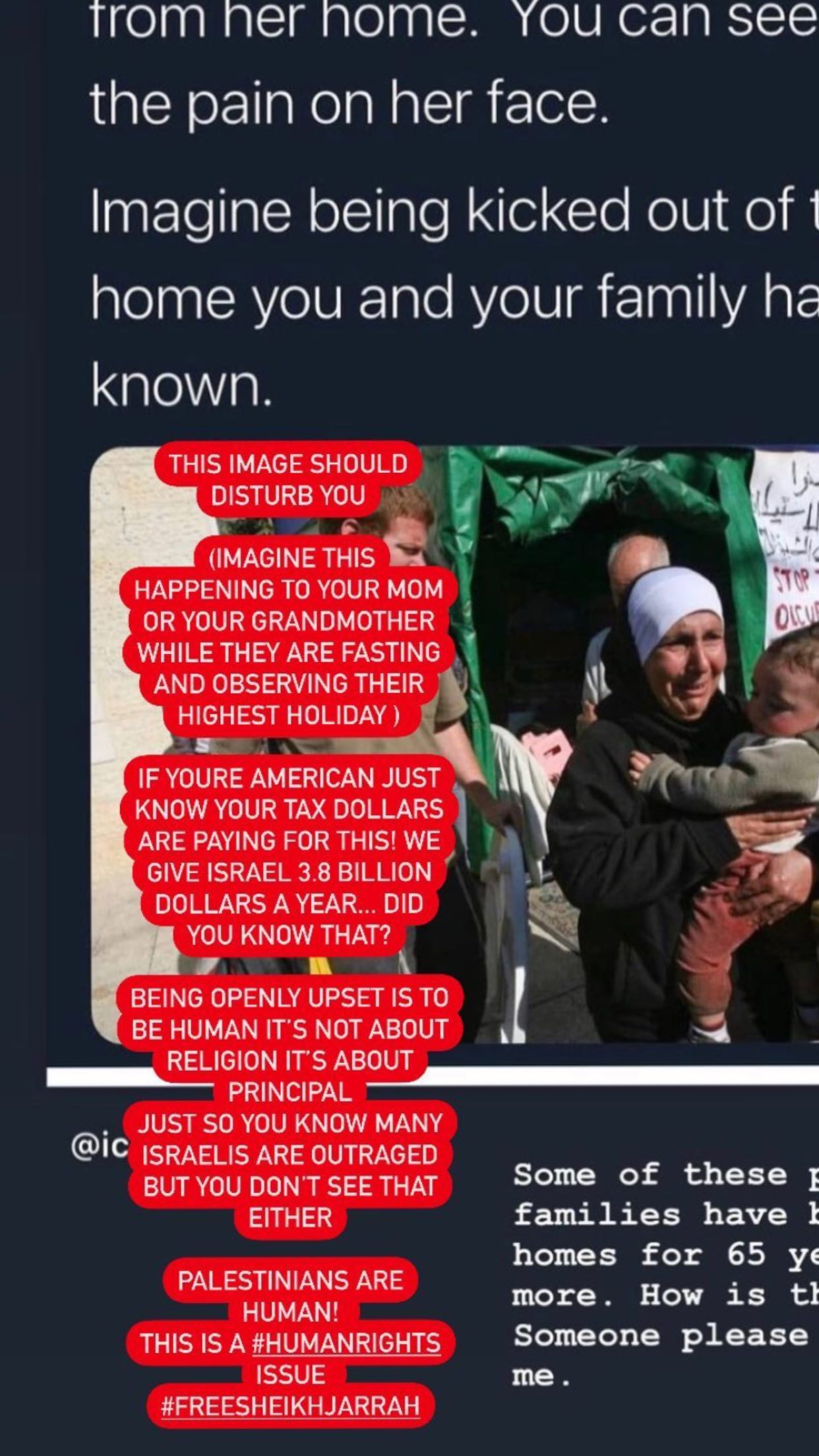 بيلا حديد