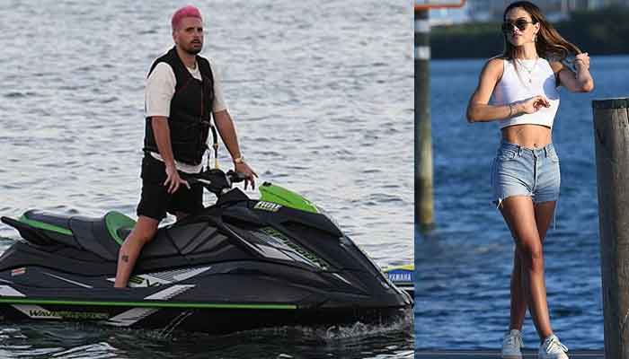 سكوت ديسك وإميليا هاملين