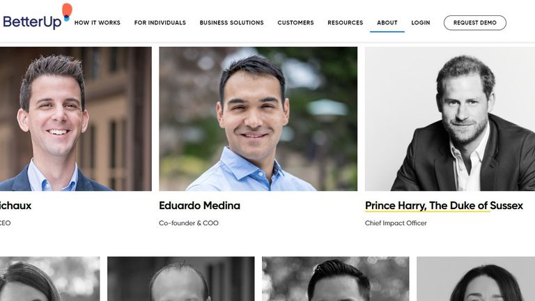 الأمير هاري