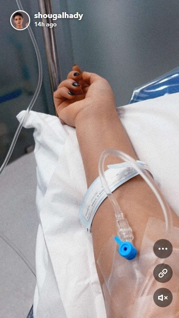 شوق الهادي