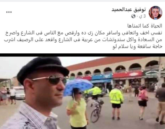 توفيق عبدالحميد