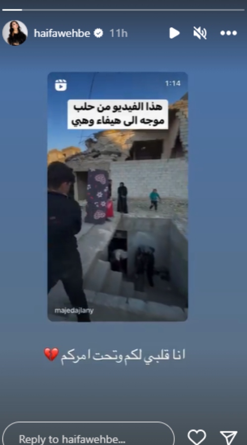 هيفاء وهبي