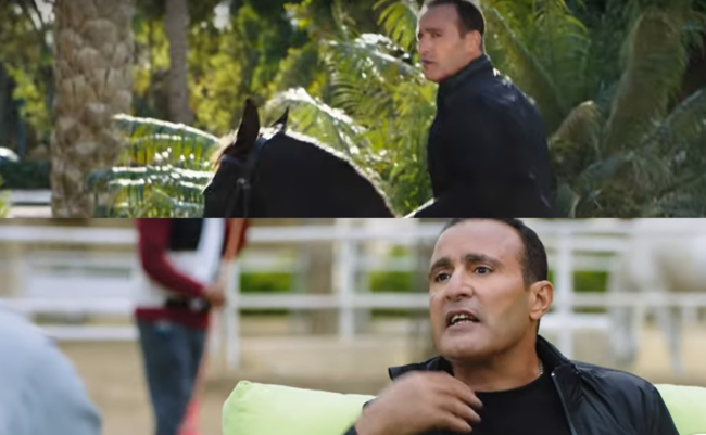 الكبير أوي 7