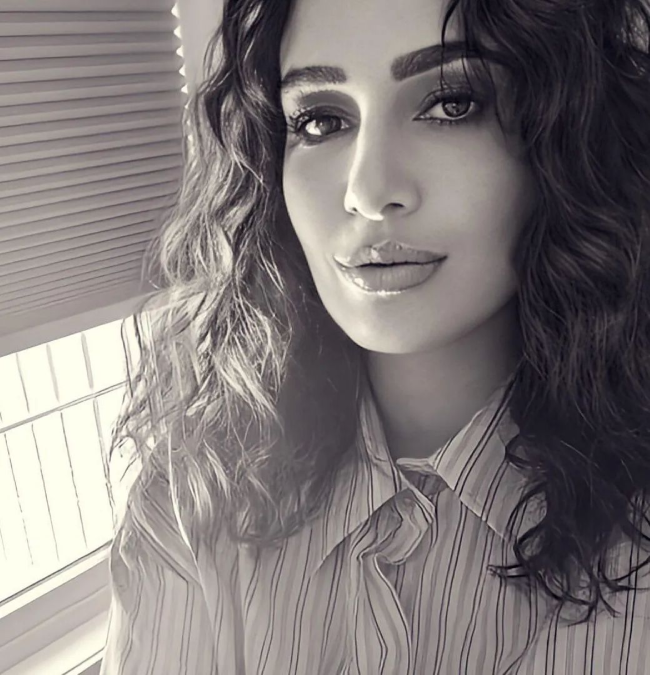 حلا شيحة