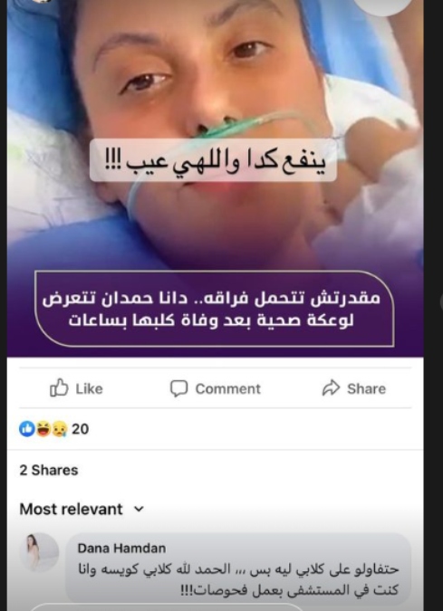 دانا حمدان