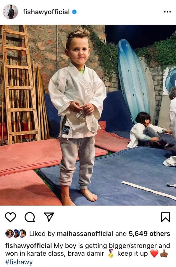 أحمد الفيشاوي