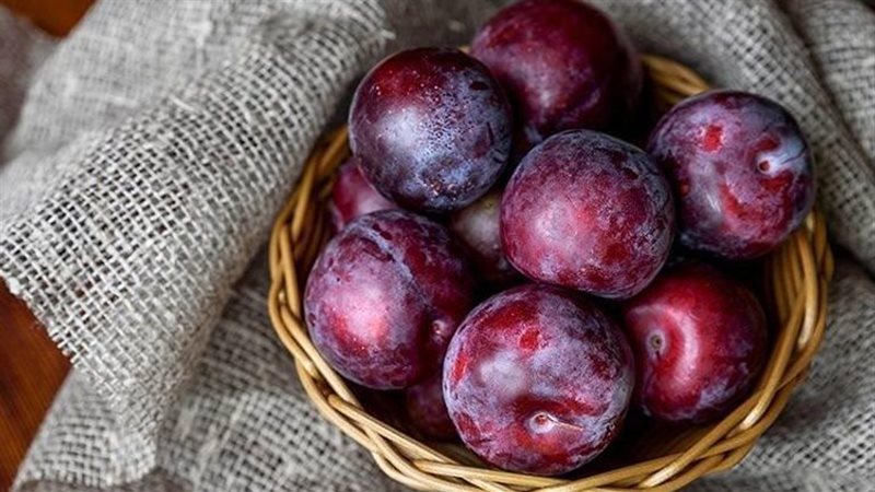 أكل البرقوق في المنام