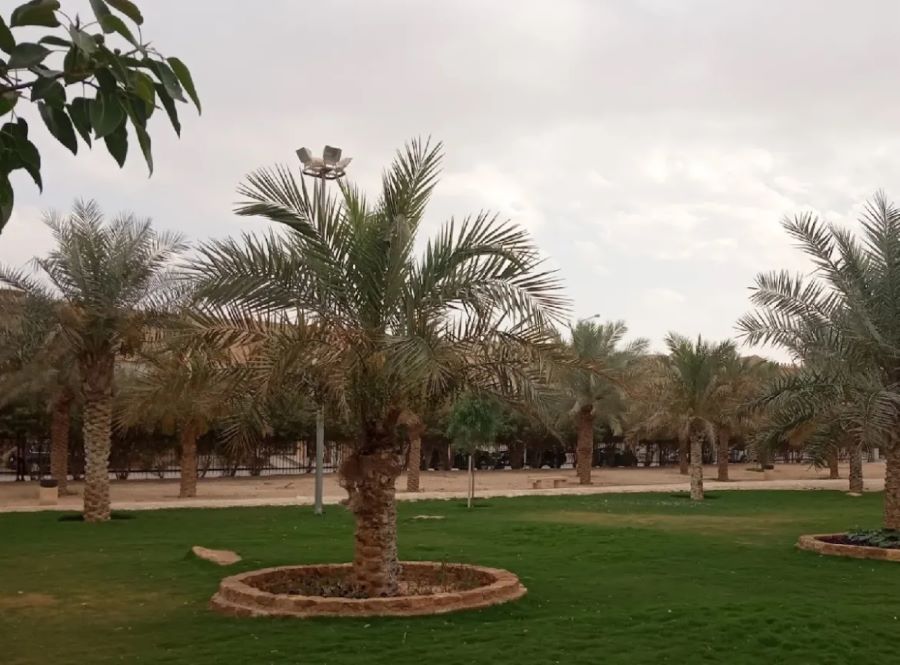 أهم الأنشطة في حديقة تلال الرياض