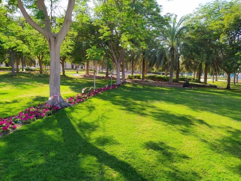 إمكانية التجول