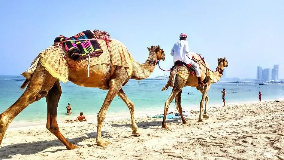الأنشطة المتوفرة في دبي مارينا بيتش