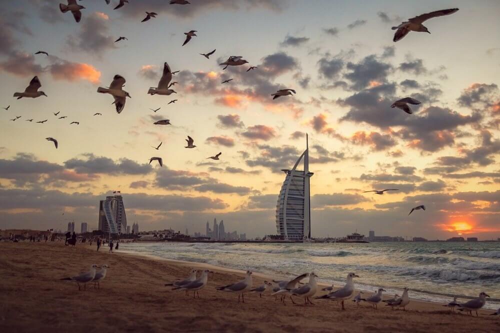 الاستجمام والتنزه على الشاطئ