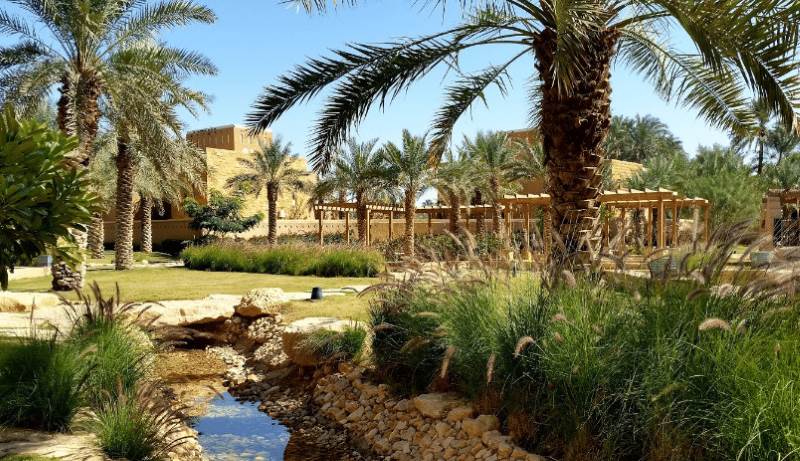 الاستمتاع بالطبيعة البدوية الساحرة