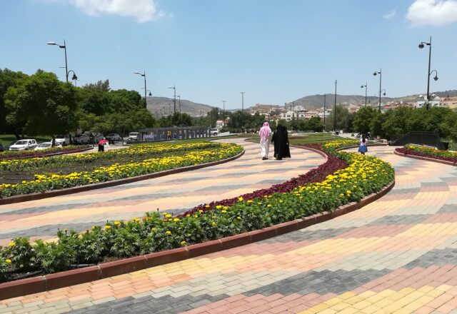 التجول بالحديقة
