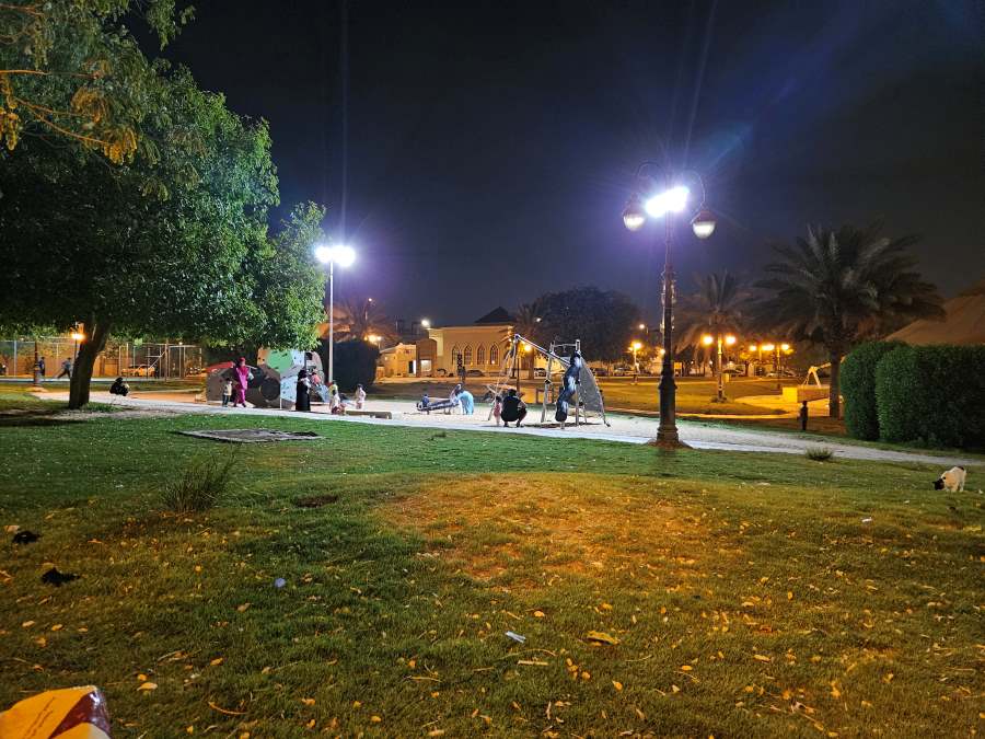 التجول في الحديقة