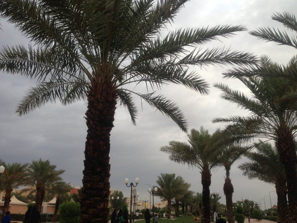 التمتع بالهدوء والمناظر الطبيعية