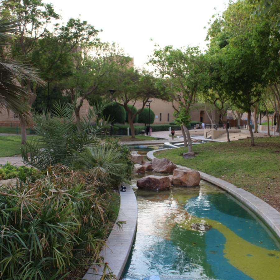 السير في المساحات الخضراء