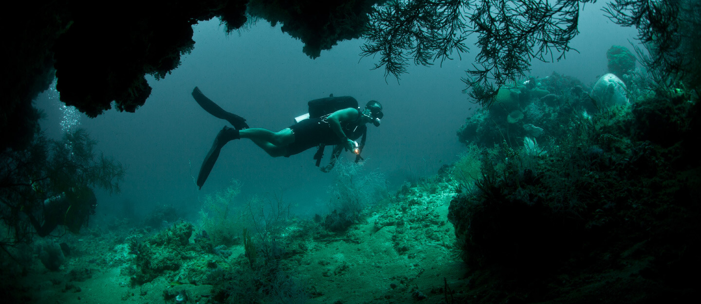 الغوص الحر - DISCOVER FREEDIVING