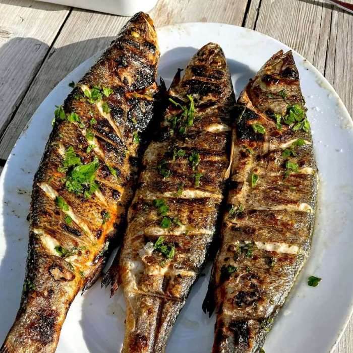 تفسير حلم شراء سمك مشوي في المنام