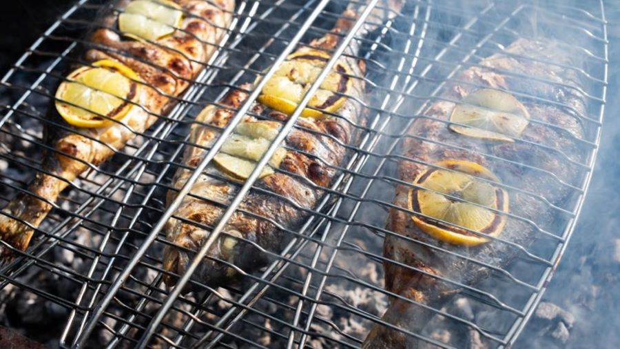 تفسير رؤية السمك المشوي في المنام للعزباء