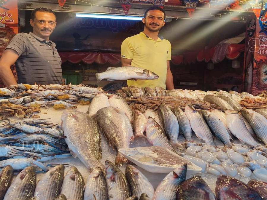 تفسير رؤية بائع السمك في المنام للإمام الصادق