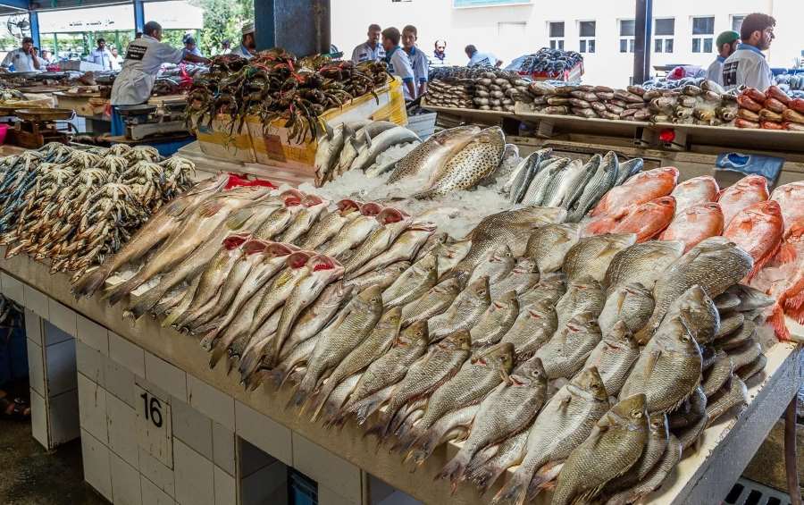 تفسير رؤية بيع السمك في المنام للرجل العازب