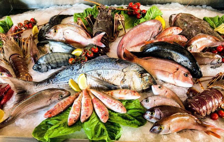 تفسير رؤية بيع السمك في المنام للعزباء