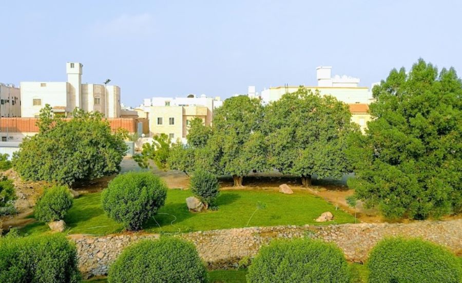حديقة الاطلال