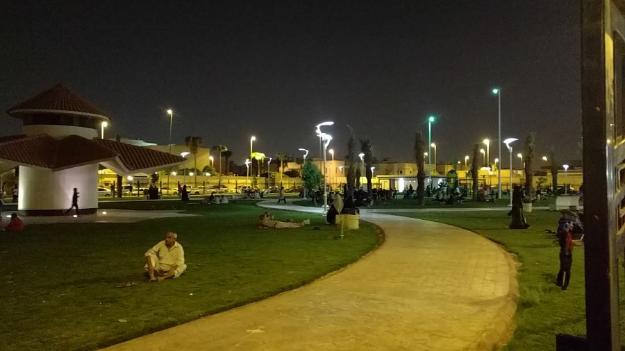 حديقة الروضة الرياض