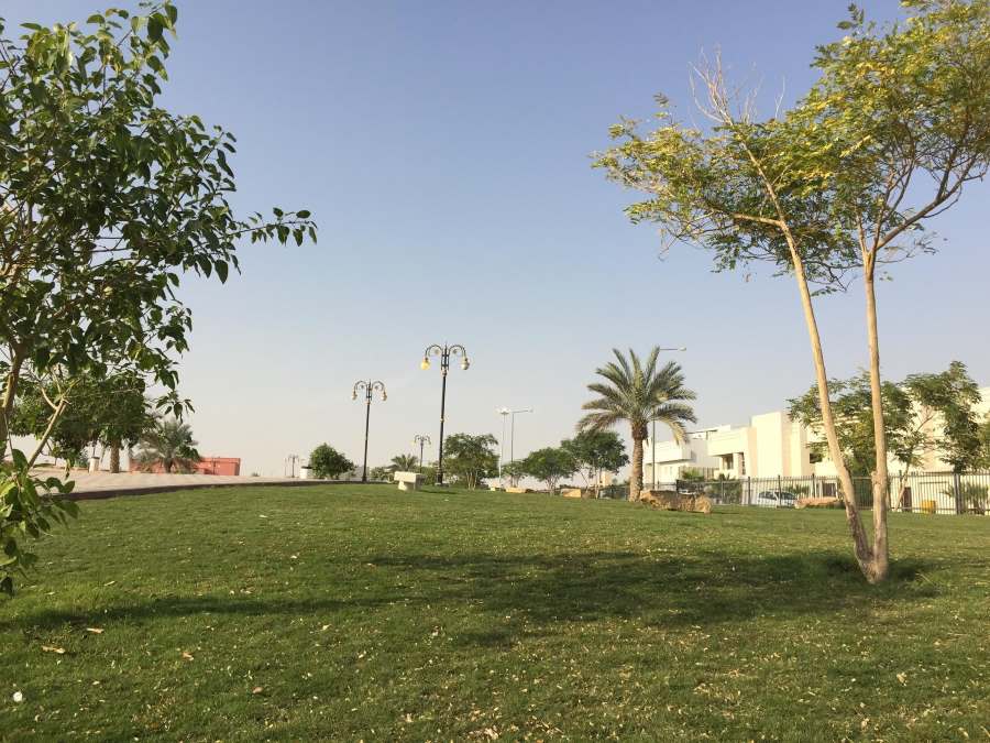 حديقة تلال الرياض