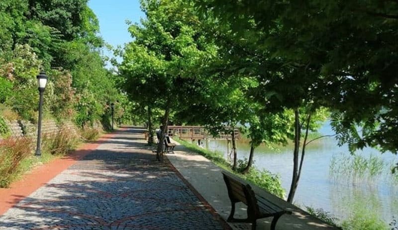 حديقة سبانجا لفن زهر البرتقال