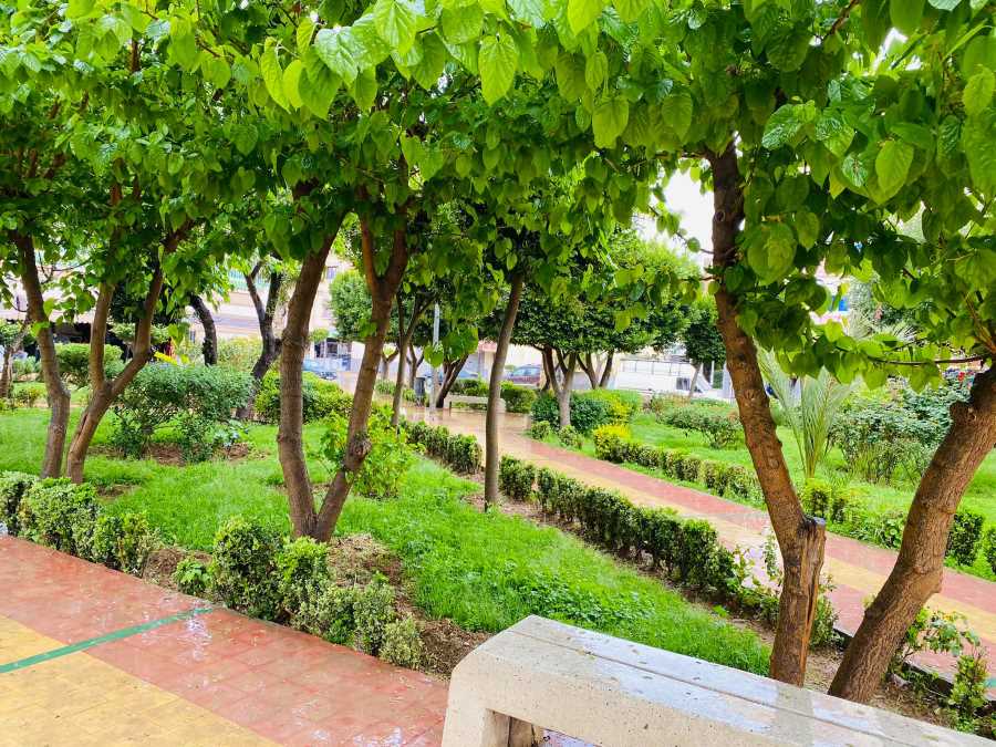 حديقة مسجد الصابرين